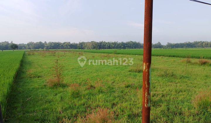 Dijual Tanah Luas Dan Strategis Di Kabupaten Madiun 2