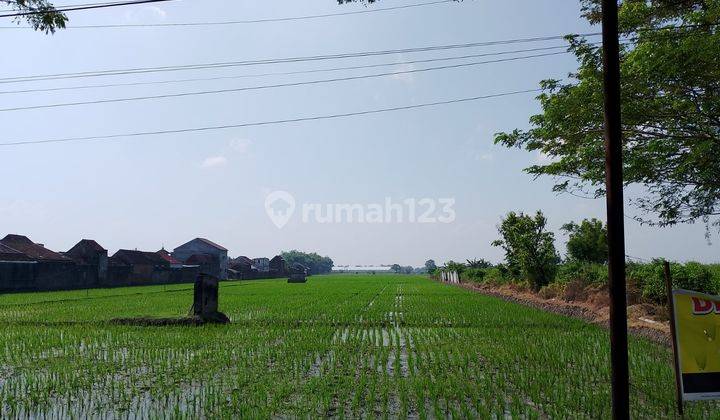 Dijual Tanah Luas Permeter Area Ngawi Jawa Timur 2