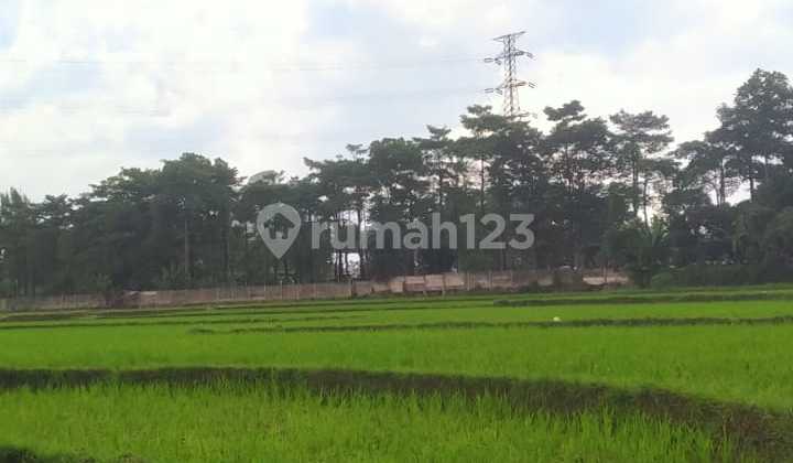 Dijual Tanah Luas Cocok Untuk Perumahan Area Buah Batu Bandung Dijual Tanah Luas Cocok Untuk Perumahan Area Buah Batu Bandung