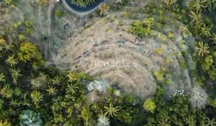 Dijual Tanah 1 Hektar Area Madenan Tejakula Bali 1