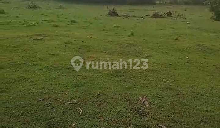 Tanah Luas SHM Jimbaran, Badung