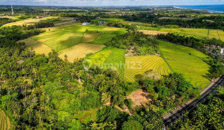 Dijual Tanah Luas Cocok Untuk Usaha Dekat Pantai Area Tabanan 1