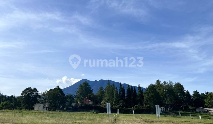 Kavling murah super sale di Megamendung puncak  7