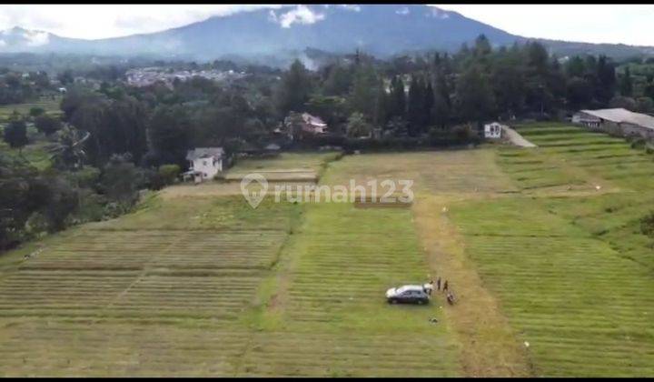 Kavling murah super sale di Megamendung puncak  9