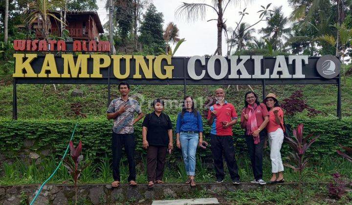 Villa Indah Dengan Tanah Luas Dekat Jalan Raya Gilimanuk 6
