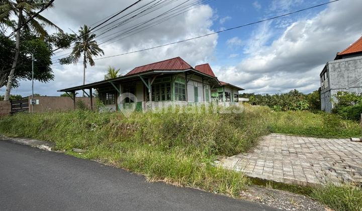 Dijual Tanah Murah Pejeng Ubud Cocok Kompleks Villa