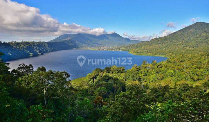 Dijual Tanah Murah Munduk Buleleng View Amazing Harga Nego 1