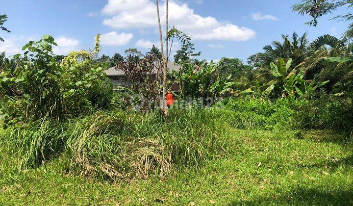 For Sale Cheap Land Ubud Pejeng Price Negotiable Suitable for Villa 1