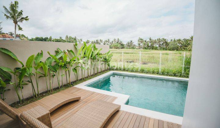 For Sale New Villa Kemenuh Ubud Gianyar View Rice Fields Price Negotiable 2