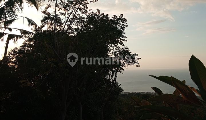 Dijual Tanah Full View Lovina Area Buleleng Harga Nego