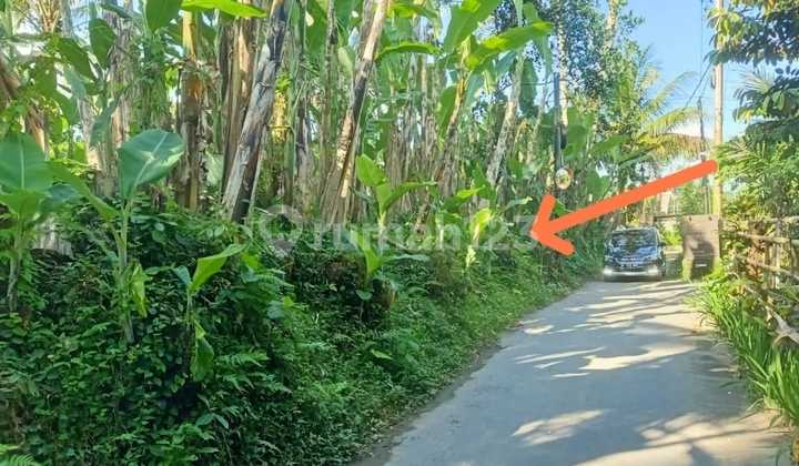 Dijual Tanah Murah Tegalalang Ubud Harga Bisa Nego