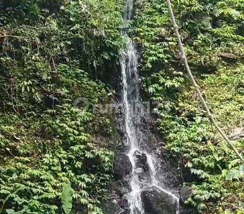 Dijual Tanah Premium Munduk Bali Harga Nego 2