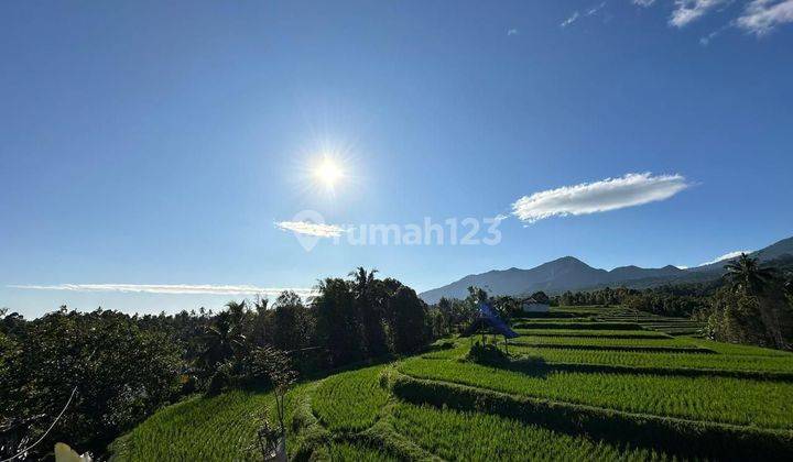 Land for sale with bonus villa Singaraja Bali with sea view rice fields 2