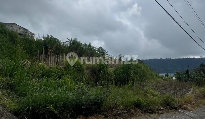 Dijual Tanah View Danau Bedugul Tabanan Harga Nego
