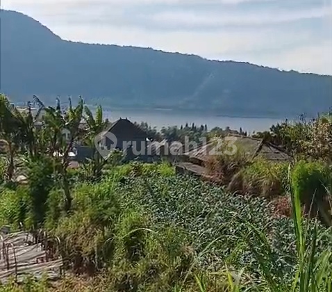 Dijual Tanah View Danau Bedugul Tabanan Harga Nego