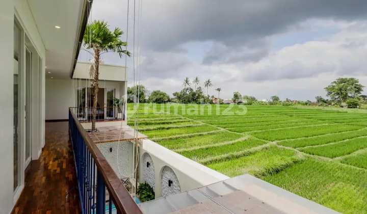 For Sale Villa with Rice Field View in Kedungu, Tabanan, Negotiable Price