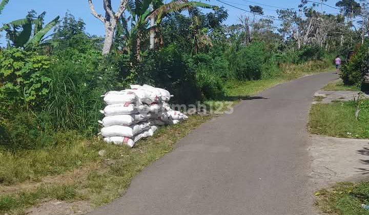 Dijual Murah Tanqh Lokasi Gobleg Munduk Harga Murah Meriah 2