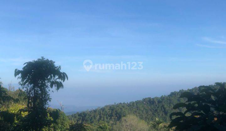 For Sale Cheap Land Munduk Bulelemg Full Ocean View  1