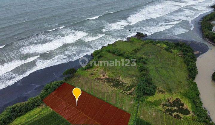 Dijual Tanah Los Pantai Kelating Tabanan Bali Harga Nego 2