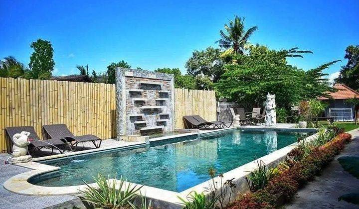 Dijual Super Murah Villa Lovina Buleleng Harga Nego  1