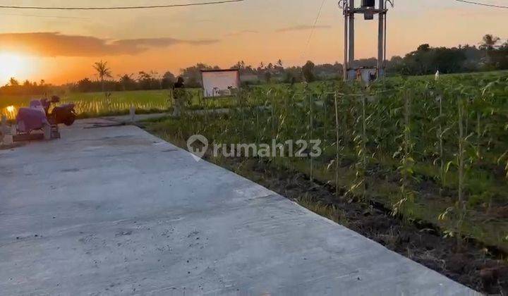 Dijual Tanah Komersil Kedungu Tabanan Dekat Pantai Kedungu 2