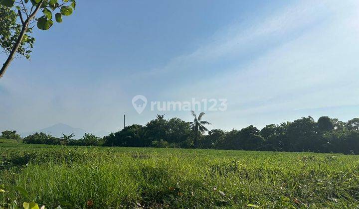 For Sale Beachfront Land Pasut Tabanan Bali Negotiable Price 2