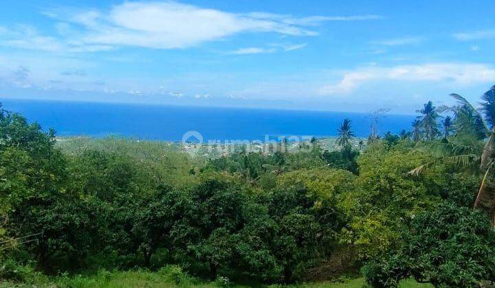 Dijual Tanah Full View Laut Lovina Bali Harga Super Murah 1