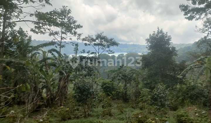 Dijual Tanah Murah Wanagiri Buleleng Full View Harga Nego