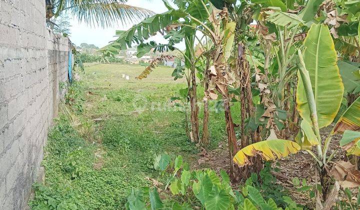 Cheap Land for Sale in Cepaka Munggu Tabanan Suitable for Villas 2