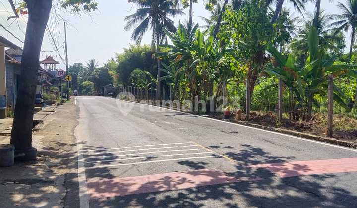 Forsale Beachfront Land Kubutambahan Buleleng 