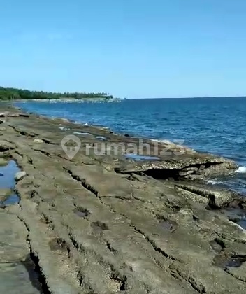 Dijual murah meriah tanah los pantai jembrana negare bali cocok buat tambak  1