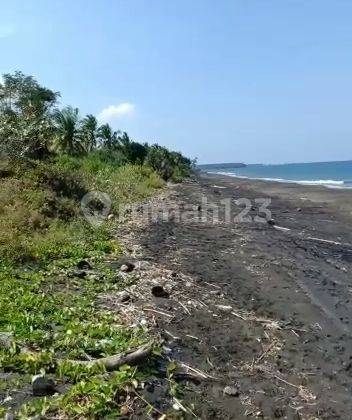Dijual tanah los pantai super murah jembrana negara Bali cocok buat tambak  5
