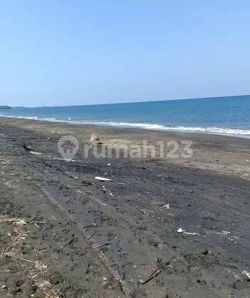 Dijual tanah los pantai super murah jembrana negara Bali cocok buat tambak  4