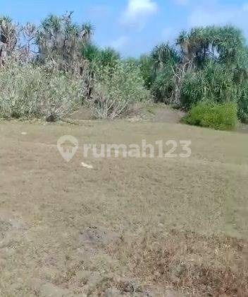 Dijual tanah los pantai super murah jembrana negara Bali cocok buat tambak  6