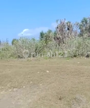 Dijual tanah los pantai super murah jembrana negara Bali cocok buat tambak  9
