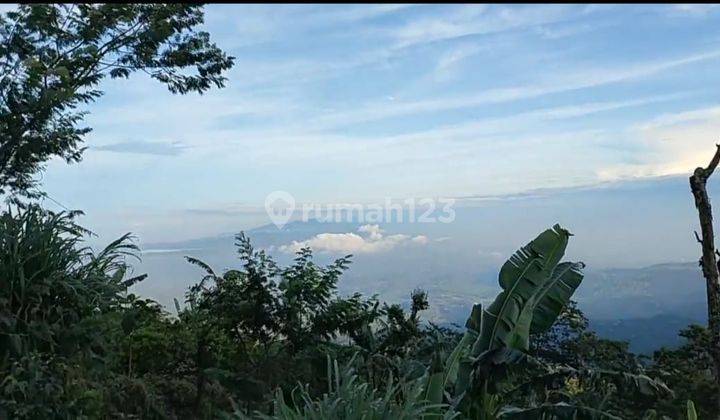 Dijual tanah super bagus full view kawan munduk bedugul Bali  2