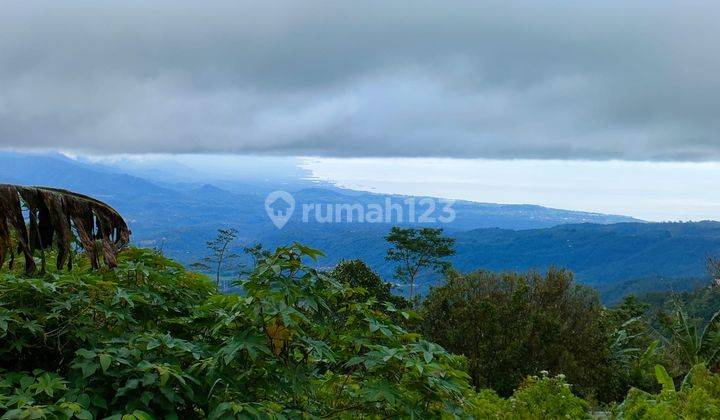 Dijual tanah super bagus full view kawan munduk bedugul Bali  9