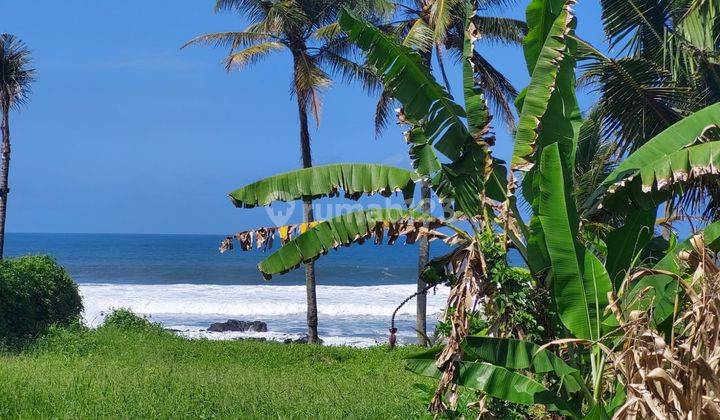 Dijual tanah los pantai pasut tabanan plot kecil cocok villa 1