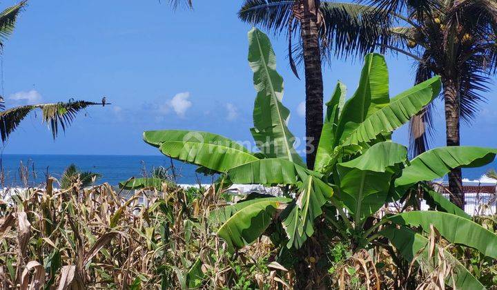 Dijual tanah los pantai pasut tabanan plot kecil cocok villa 2