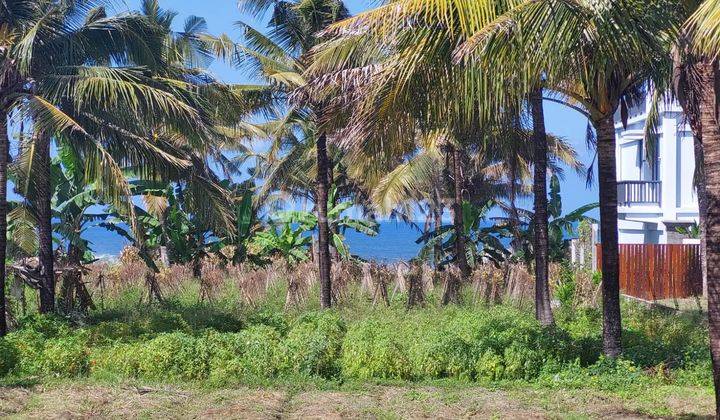 Dijual tanah los pantai pasut tabanan plot kecil cocok villa 4