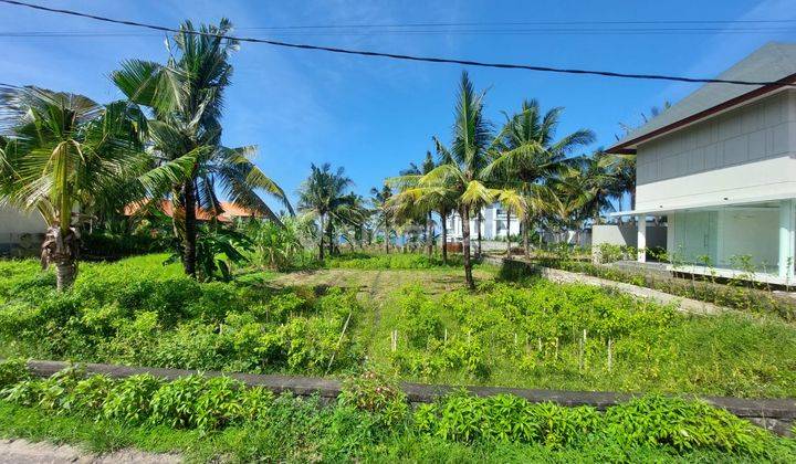 Dijual tanah los pantai pasut tabanan plot kecil cocok villa 6