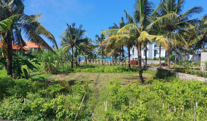 Dijual tanah los pantai pasut tabanan plot kecil cocok villa 7