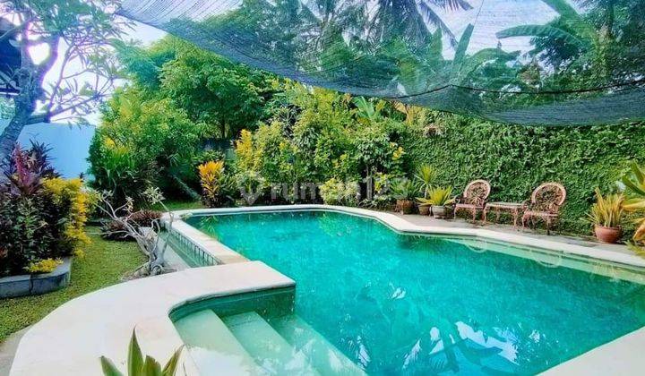 Dijual villa murah lokasi lovina Buleleng bali harga nego  1