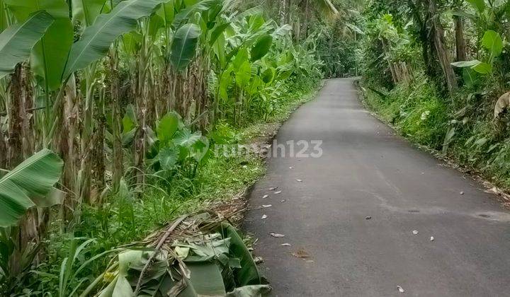 Dijual tanah los sungai ayung lokasi payangan ubud Gianyar Bali  2