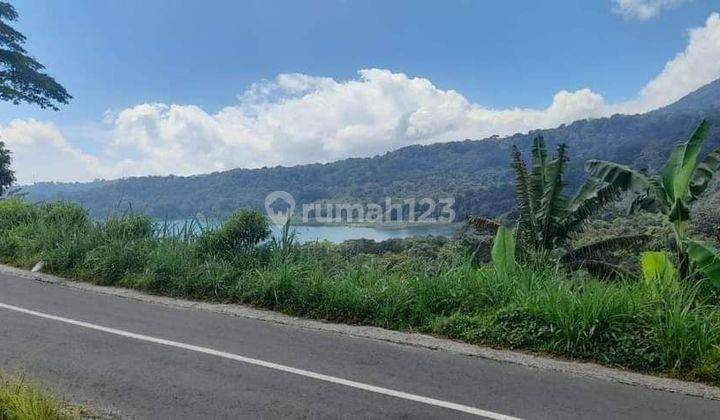 For sale, land in Munduk Buleleng village with jungle sunset lake view  1