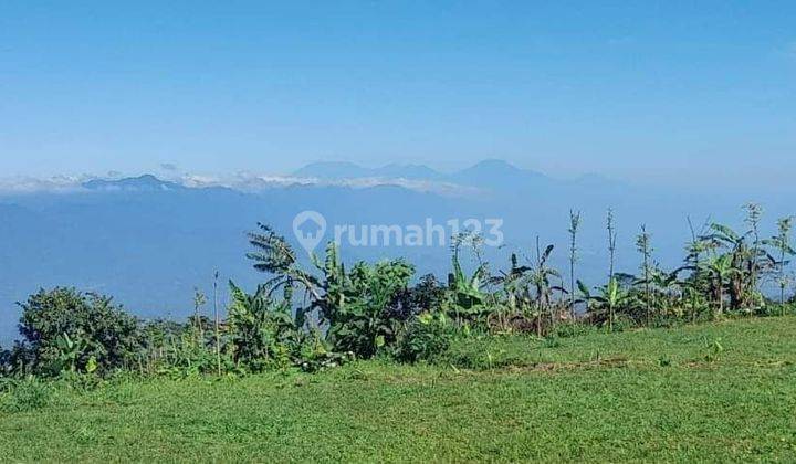 For sale, land in Munduk Buleleng village with jungle sunset lake view  2