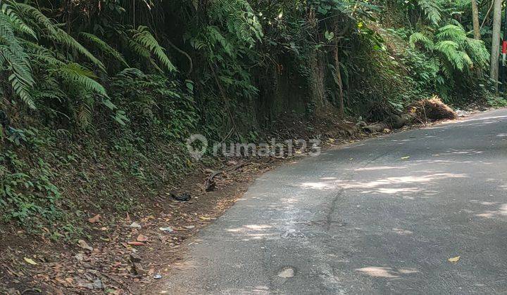 Cheap land for sale in tegalalang ubud gianyar bali jln utama  1