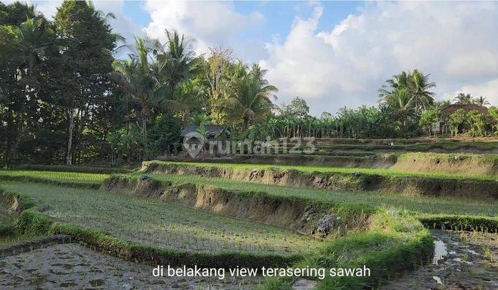 For sale cheap ubud keliki land on the main road suitable for restaurants etc 2