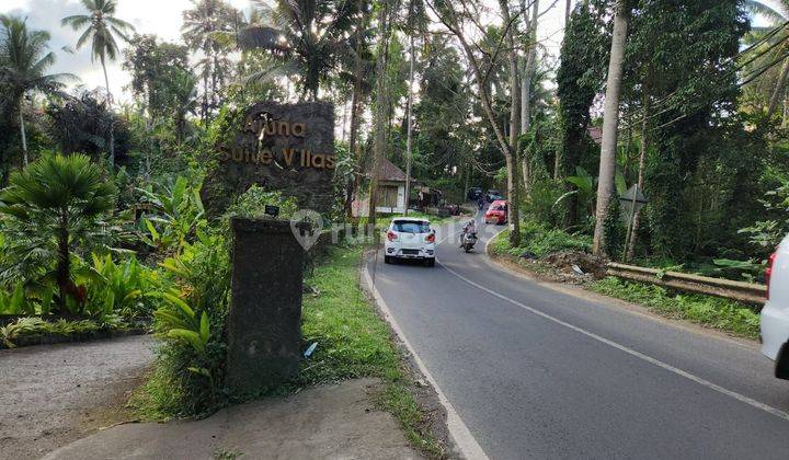 For sale cheap ubud keliki land on the main road suitable for restaurants etc 1