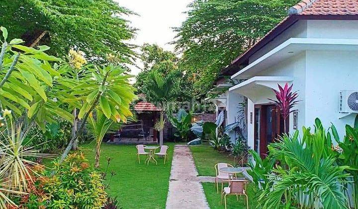 Dijual Super Murah Villa Lovina Buleleng Harga Nego  2